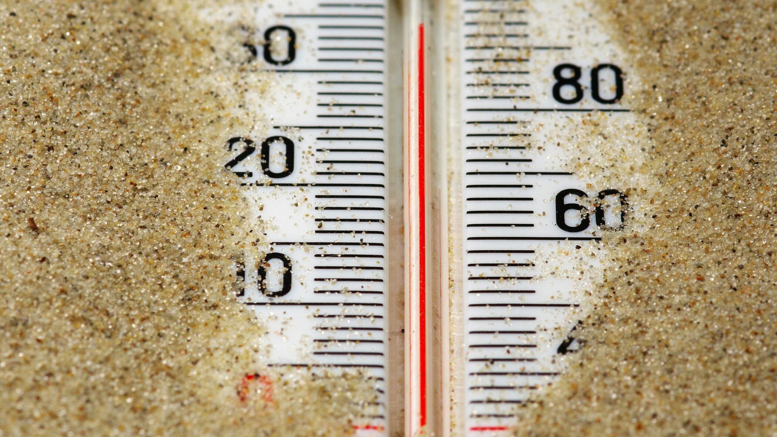 К 2029 году в мире может произойти потепление более чем на 2°C