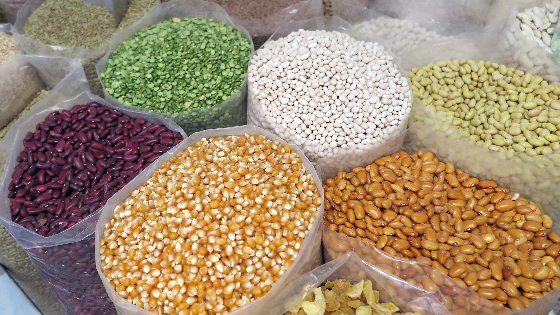 Фасоль — ключ к здоровью: продукт снижает риск хронических заболеваний