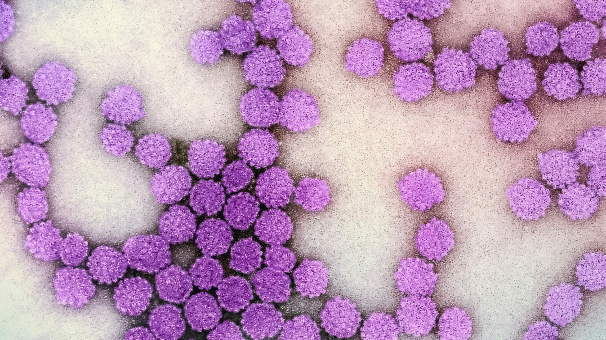 В России запустили полный цикл производства вакцины от ВПЧ