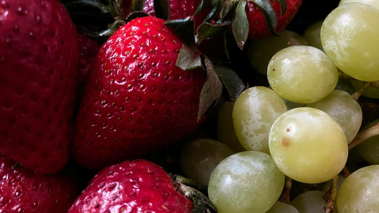 Российские ученые предложили собирать ягоды с помощью роботов