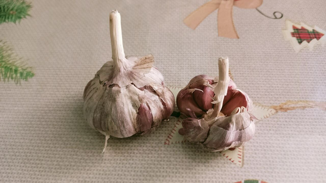 Ученые обнаружили способность чеснока улучшать память и снижать тревожность