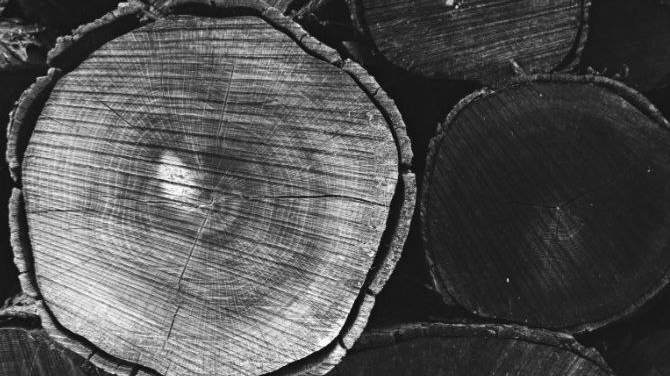 Исследователи обнаружили в Таллине старейшую деревянную дверь в Европе