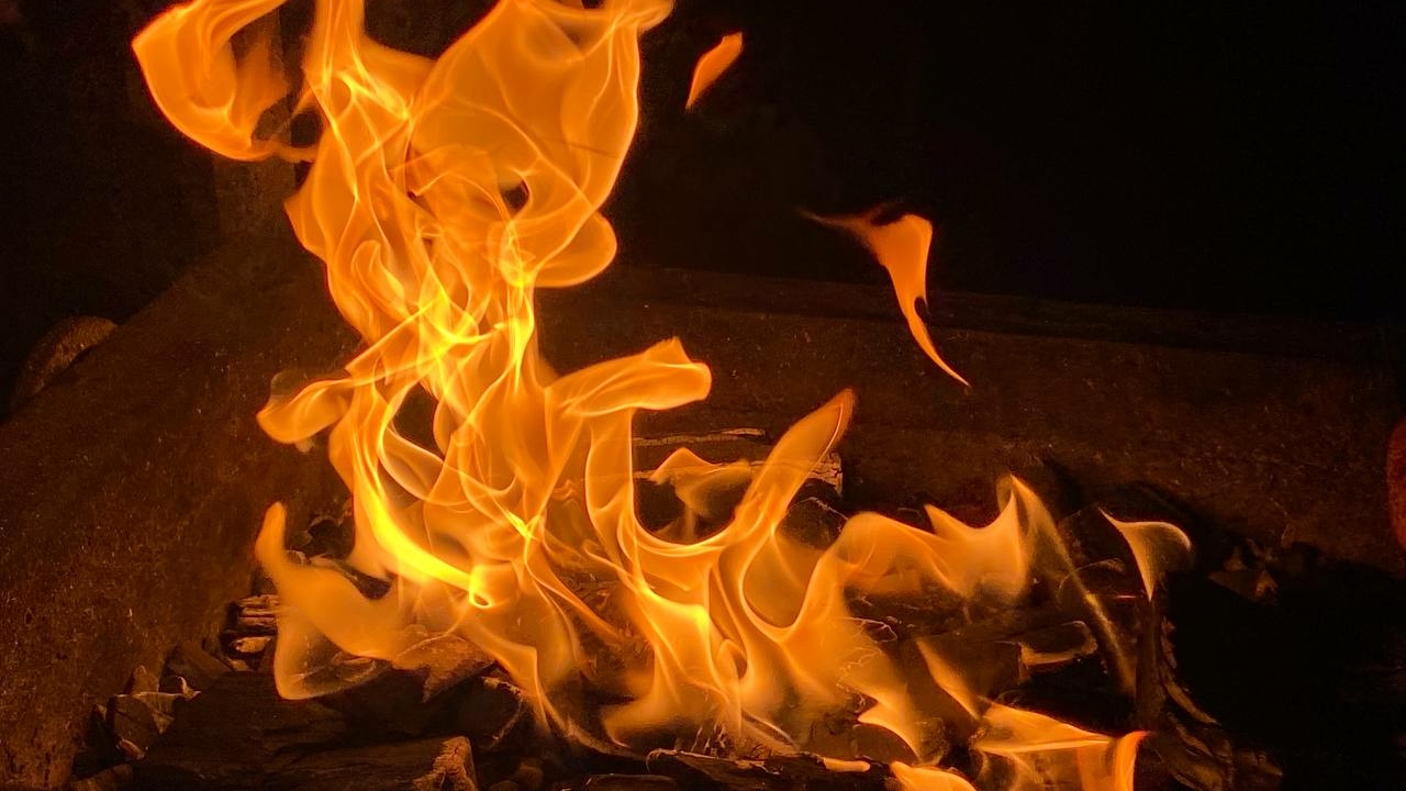 Ученые придумали способ превратить содовый шлам в барьер от лесных пожаров