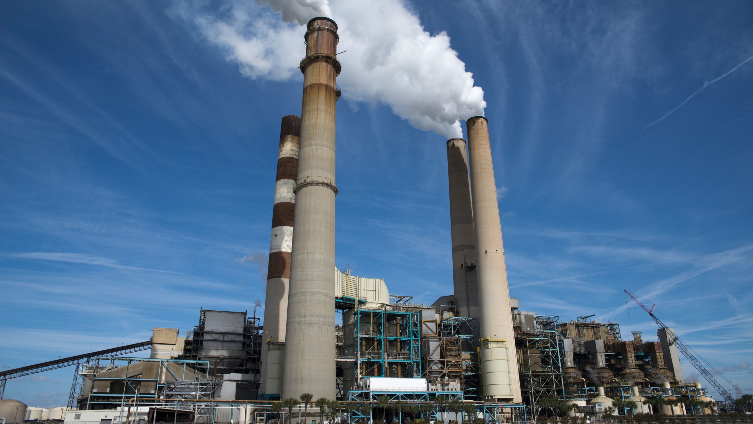 В Архангельске планируют разработать реактор для создания топлива из биомассы