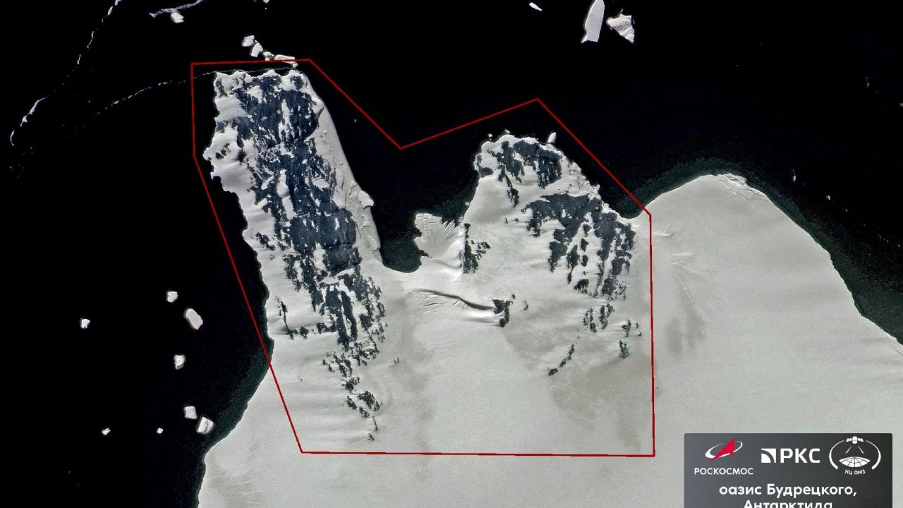 Петербургские ученые открыли оазис в Антарктиде